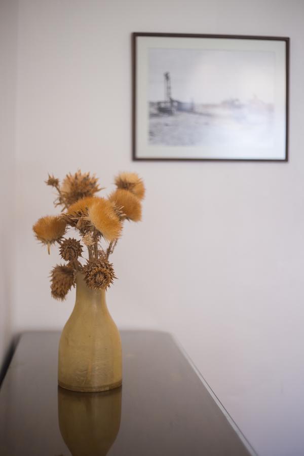 Hotel El Pedral Puerto Madryn Dış mekan fotoğraf